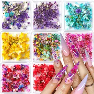 Summer Spring Gifts 8 Boxs Dried Flowers for Nail Art,Colorful Mini Real Natural Flowers Summer Spring Gifts Nail Art Supplies,3D Gypsophila Floral Mixed Tiny Petals Decoration Kits for Resin Jewelry