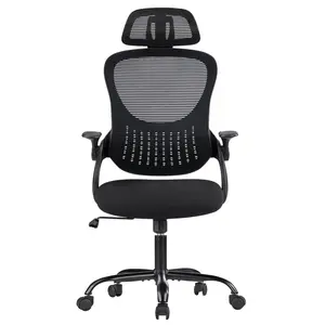 Ergonomics Office Computer Desk And Chair Ergonomics Office Computer Desk And Chair