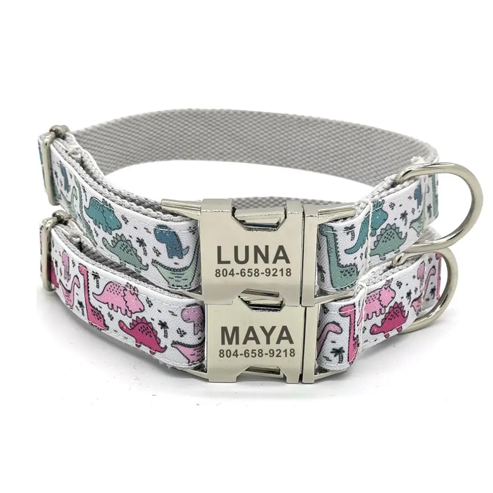 Dino-Mite Collar and Leash