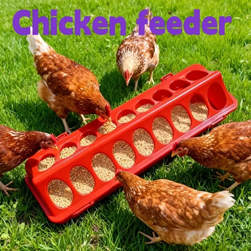 Chicken Feeder Multi-Pore Food Box, Feeding Poultry Feed Dispenser, Anti-Scrambling Chicken Slot, Farming Supplies, Chicks & Quail Feeders, Chicken Feeder For Birds