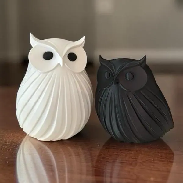 Artistic 2-Piece Black & White PLA 3D-Print Plastic Owl House Ornaments Set - Home Decor Figurines, Living Room Desk-Shelf Accents, Owl Lovers' Gift