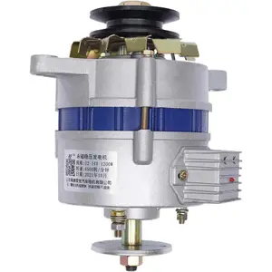 Permanent Magnet Synchronous Generator, 1200W 12V Low RPM AC Charging PMA Permanent Magnet Alternator Built-In Voltage Stabilizer