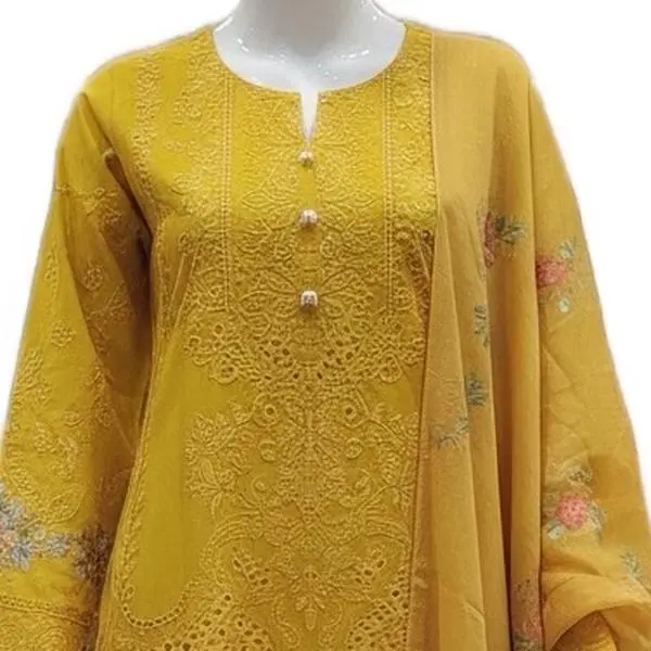 Afghan/Pakistani Dress -cartoon dress