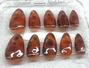 Hand-Painted Tortoise Shell Nails | Amber Jelly Layered Art