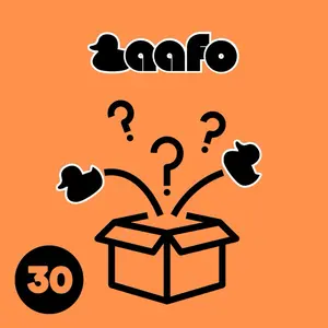 30 Duck Mystery Box w/ Rubber Ducks