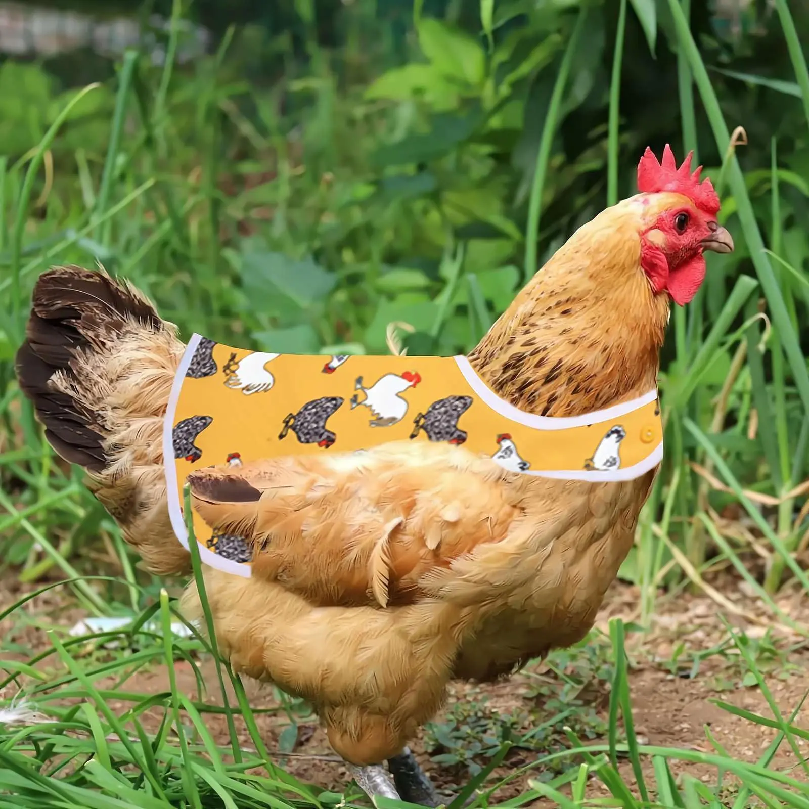 Chicken Saddle