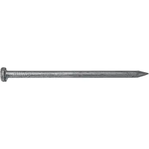 5" Exterior Hot Dipped Galvanized Common Framing Nail (40d) 1 Pound ~15 Nails