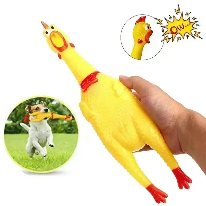 Screaming Chicken Chew Toy
