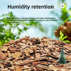 Forest Bark Reptile Substrate for Tortoise Lizard Snake Terrarium Natural Bedding Control Odor and Moisture