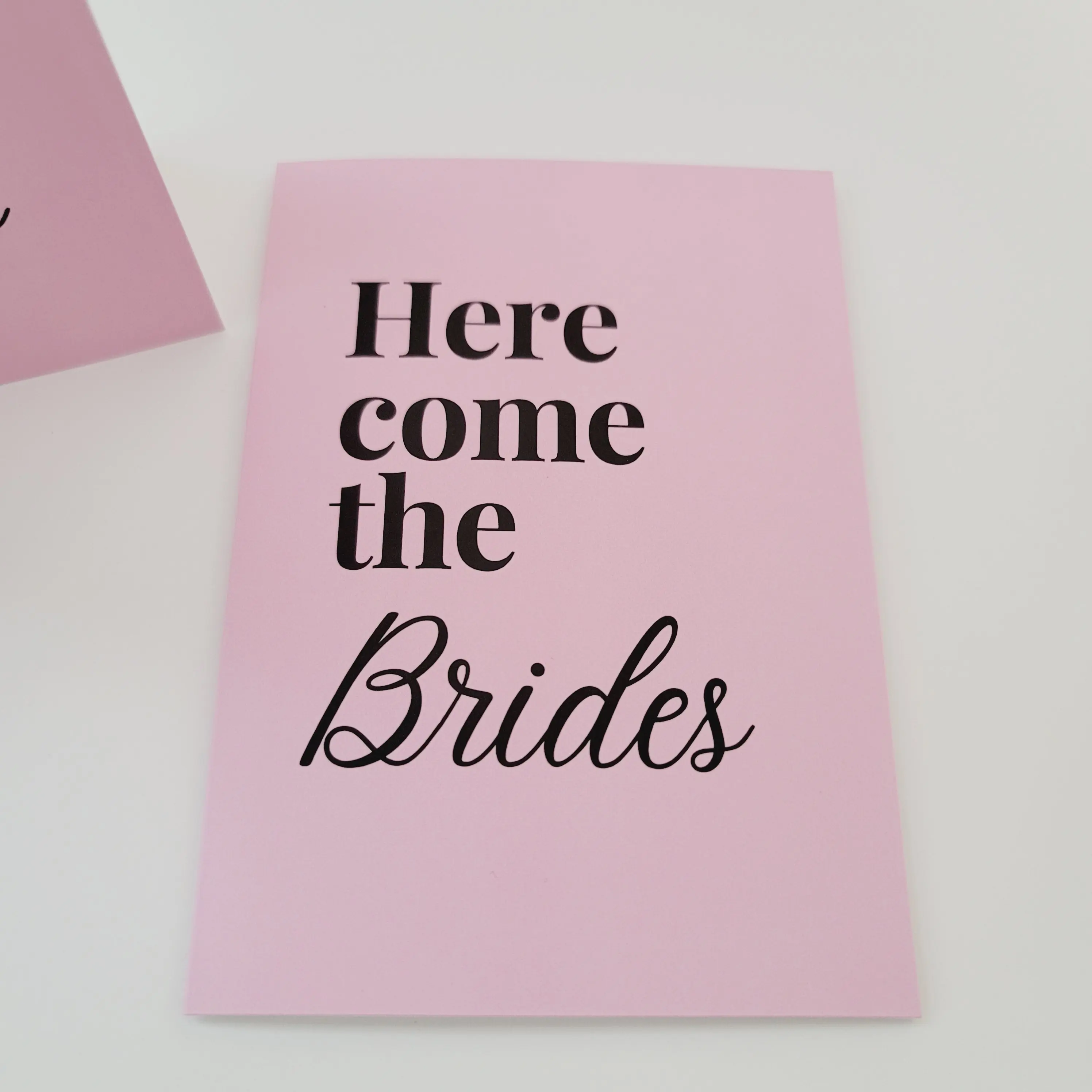 Two Brides Wedding Engagement Greeting Card