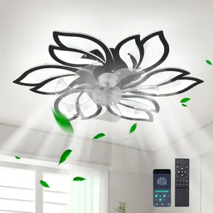 25.5In Ceiling Fan with Lights, Remote Control 3 Color Temperatures,6 Gear wind Speed Fan Light