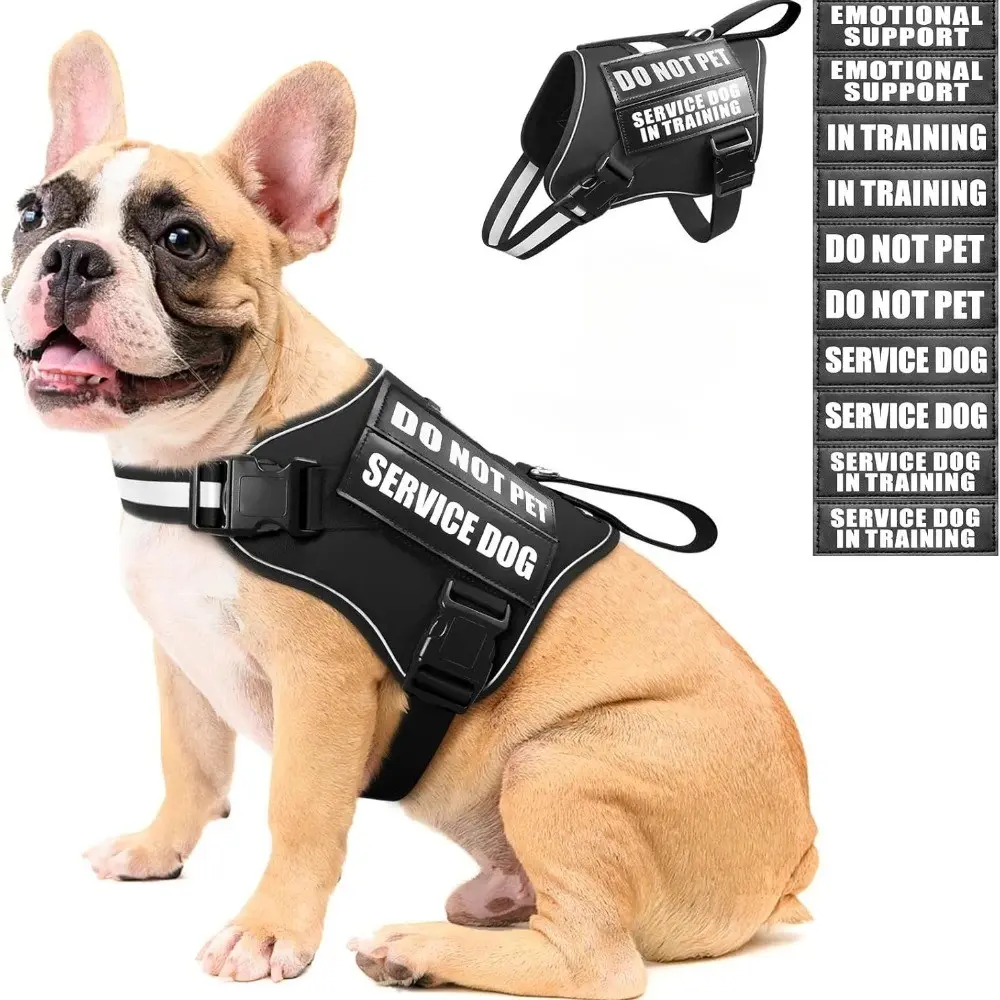 Emotional Support Dog Harness with Leash - 10 Patch Labels, Reflective Strips, Soft Padded Handles, Polyester Universal Vest for Training & Daily Use, Safety Marking Design, Padded Hands