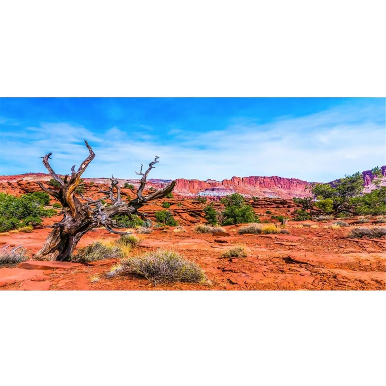 48x24 inches Blue Sky Oasis Orange Desert Polyester Reptile Habitat Terrarium Background
