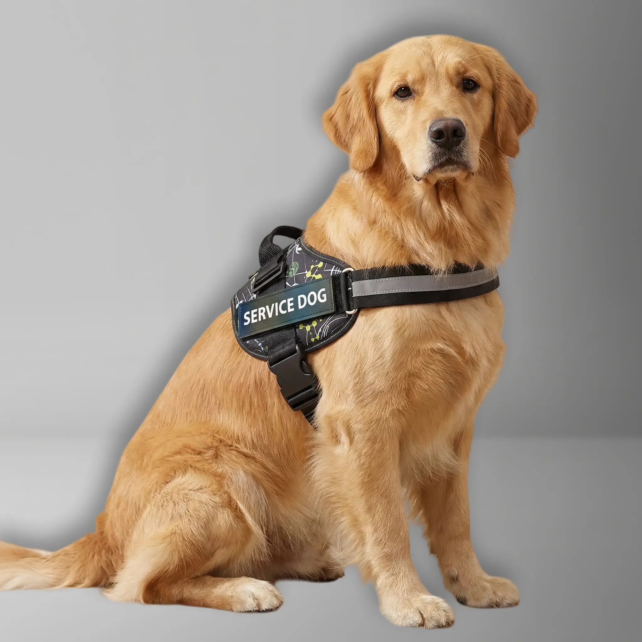 harness: shock-absorbing  walking  for medium and large dogs;  padded  vest; reflective pet vest with an easy-to-control handle;  double dog leash pet safety leash adjustable outdoor training luxury dogcollar  doge collar harness service tactical