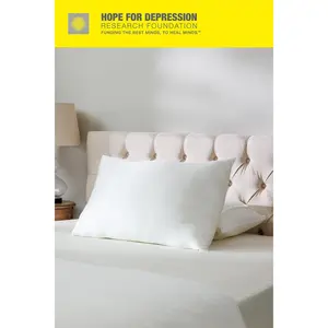 HDRF 25 Momme 100% Organic Silk Pillowcase