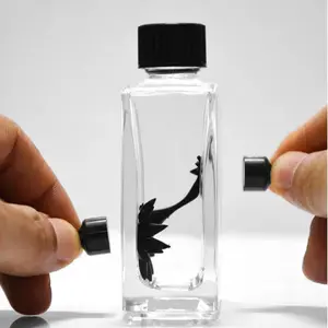 Magnetic Fluid Display Toy Ferrofluid Bottle Filled with Dynamic Magnetic Fluid for Science Lovers Stress Relief Interactive Physics Desk Toy