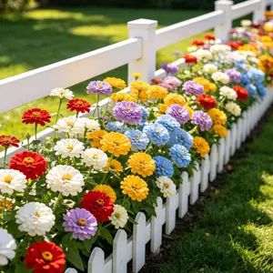 5000+pcs Zinnia for Planting Zinnia ElegansHeirloom Open Pollinated & Untreated Mixed ColorZinnia Flowers hosta large bloom wi Iflower bulkgarden home grown small seeds