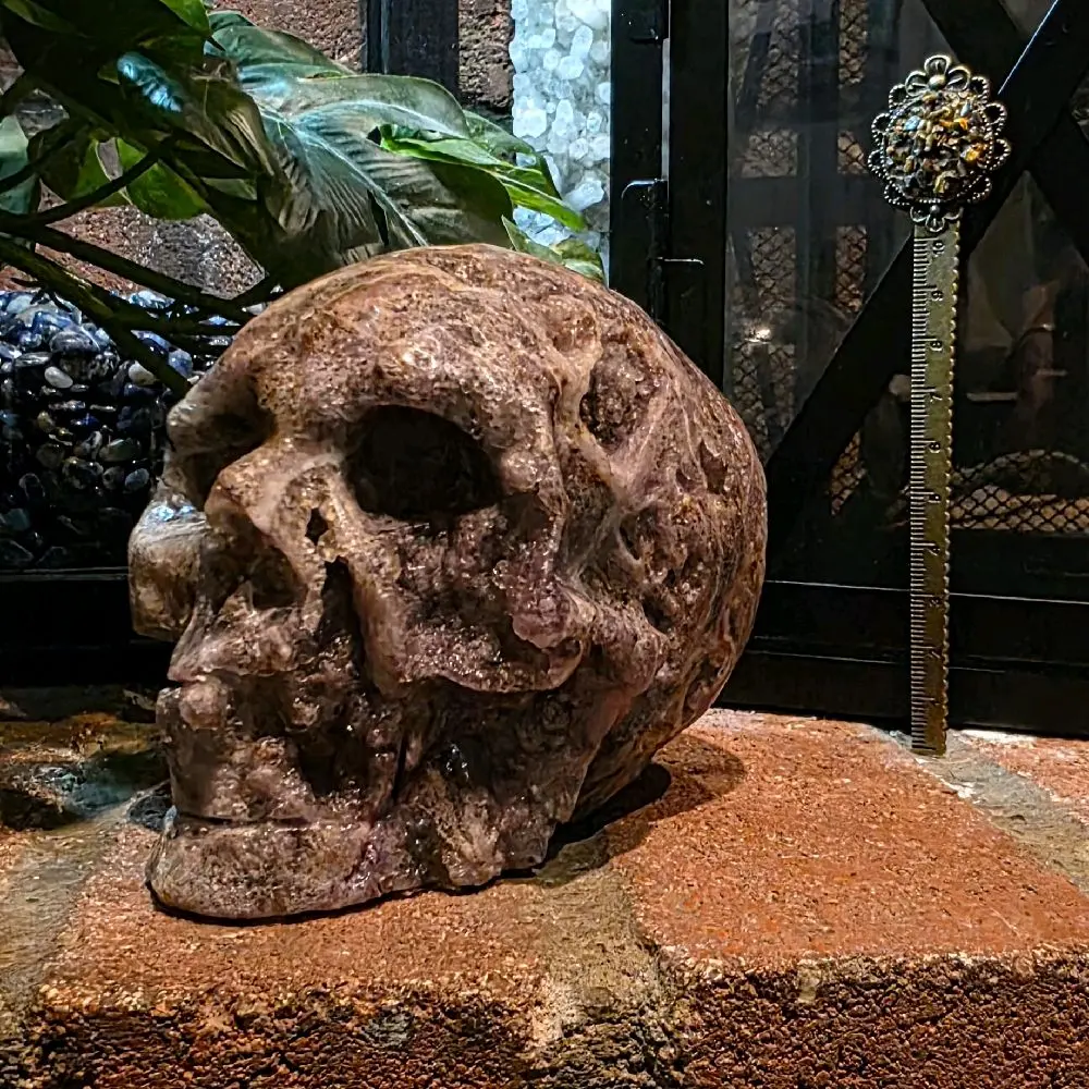Grape Agate Skull w Druzy