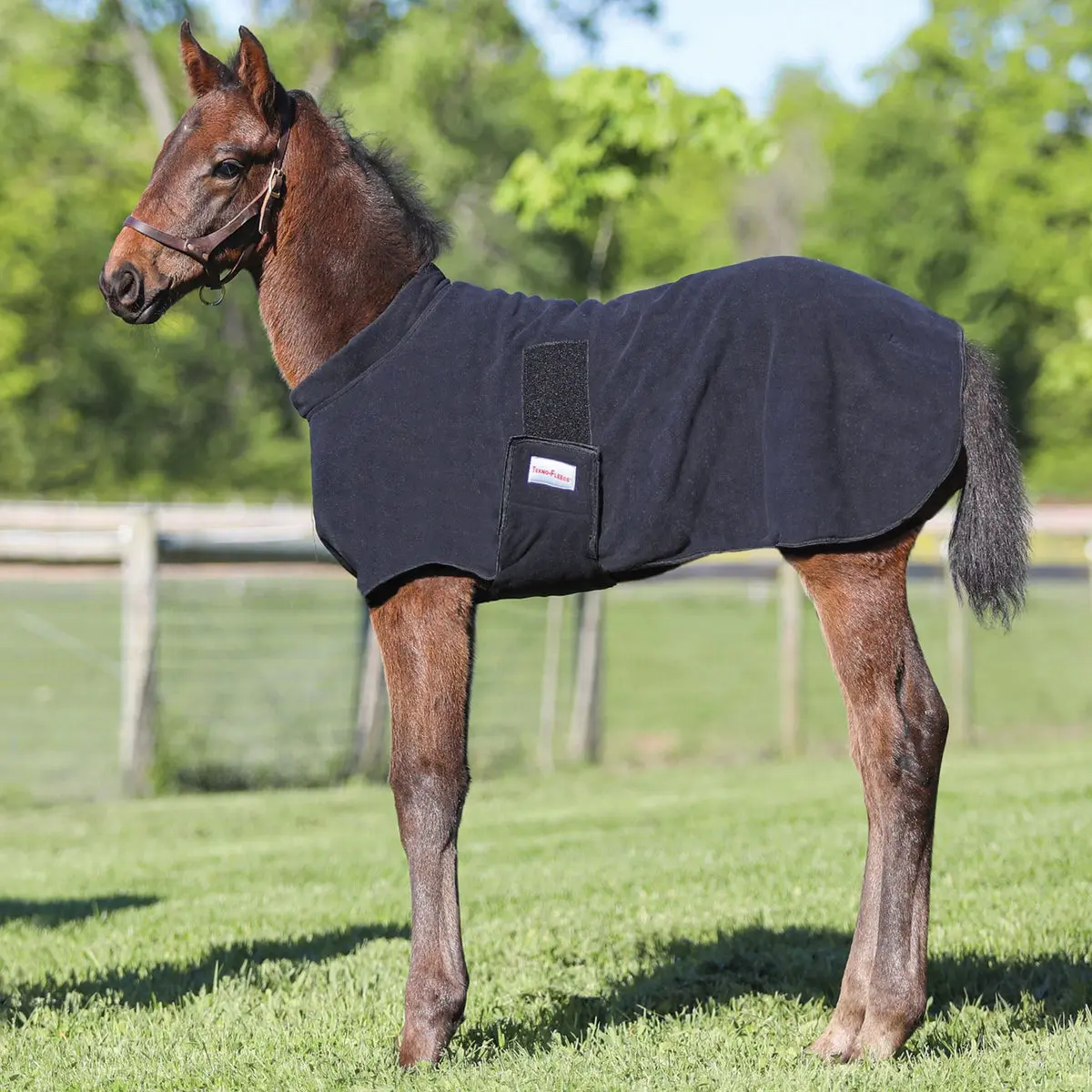 Dura-Tech Fleece Foal Warmer for Horse Breeding, Non-Pill Polar Fleece, Jersey Knit Insert, Does Not Absorb Moisture, Keeps the Foal Warm and Dry, Soft Plush
