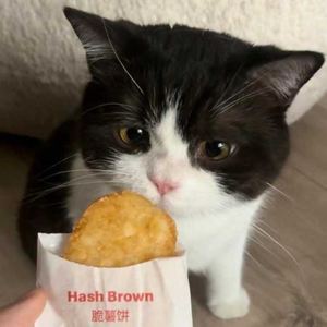 DailyDose