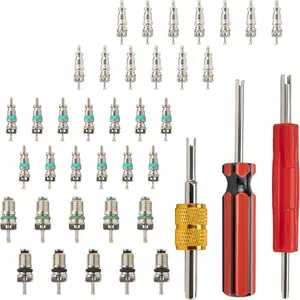 39 PCS Air Conditioning Valve Core Accessories Kit, R12 R134a Refrigeration Schrader Tire Valve Stem Cores with Single & Dual Heads Valve Core Remover Installer Tool, HVAC System Seal Caps Kit
