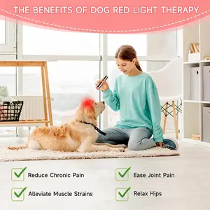 Portable Powerful Red Infrared Light Therapy Device w/5 LEDs 5 Wavelengths,  Blue Light Healing Therapy Torch for Body Knee Hand Muscle Joint Pain Relief Near Infrared Light Healthcare Healthy Alternative Solution Wellness Fitness