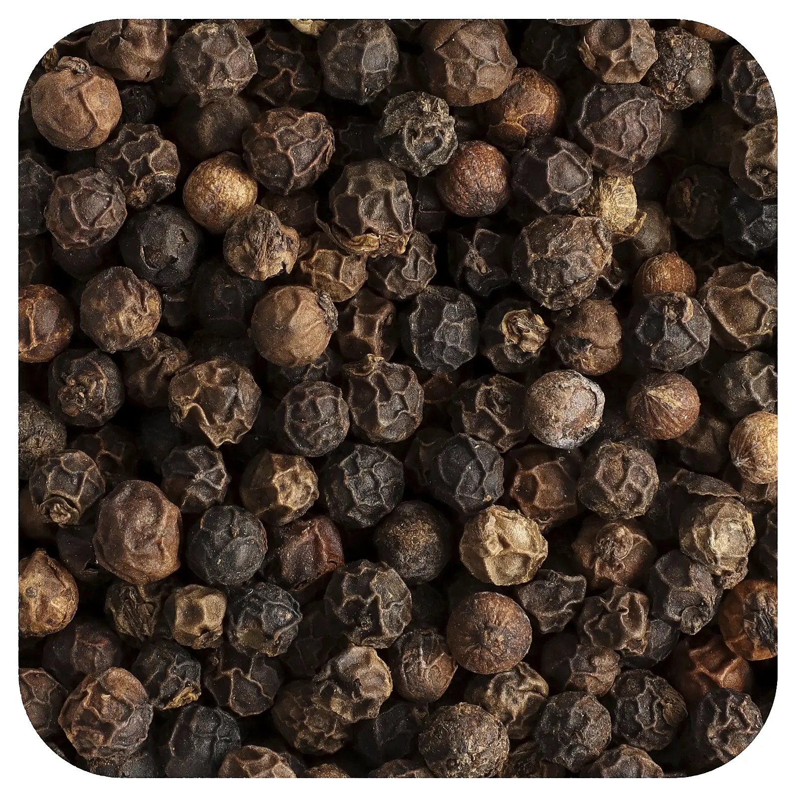 Starwest Botanicals Organic Pepper Black, Whole, 1 lb (453.6 g)
