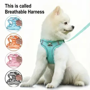 Adjustable Breathable Mesh Dog Harness Vest with Leash, Reflective All-Weather Pet Walking Training Gear, Comfortable for Small Medium Large Dogs, Durable Reflective Harness