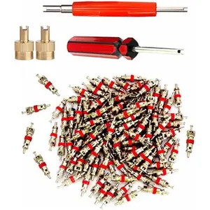 Valve Core Remover with 100 Pcs Car Truck Replacement TPMS Nickel Plated Tire Tyre Valve Stem Core Dual Single Head Valve Core Remover Tire Repair Tool Set