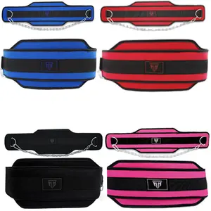 MT Weight Training Dip Belt with Heavy Duty Steel Chain for Pull-ups, Chin-ups belt dip belt Pro Gym Training Equipment