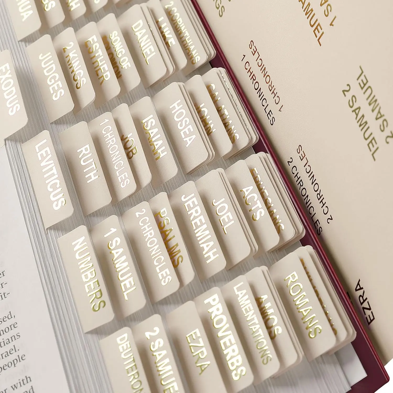 Laminated Bible Tabs for Women, 100 Tabs, Book Lables for Study Bible, Large Print Lables(Gold Foil Embossed Lettering)
