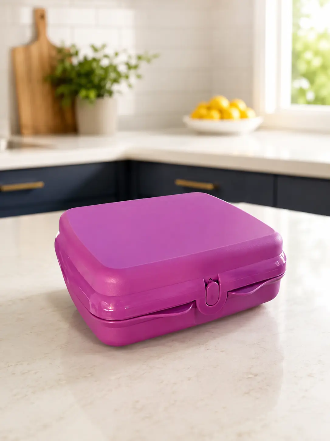 Purple Sandwich Keeper