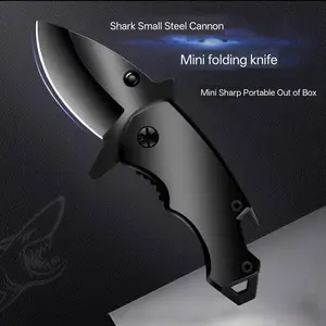 Keychain Portable Bottle Opener Knife, Mini Stainless Steel Folding Pocket Knife, Fruit Knife, Multi-Functional Tool for Outdoor Use, Outdoor Multifunctional Tools