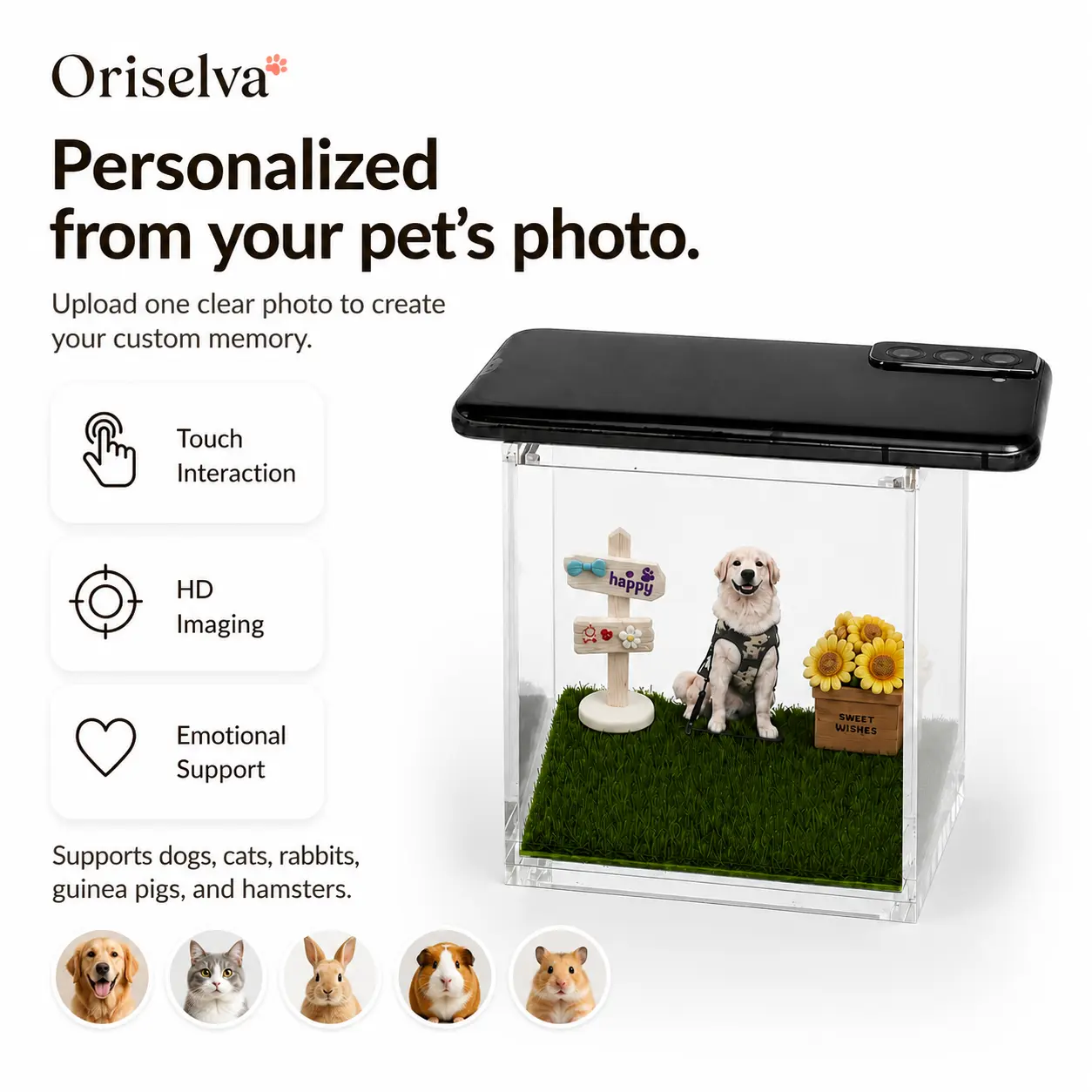 Personalized Pet Memorial Photo Display Box - Customizable Desk Sympathy Keepsake for Dog Loss, Home Decor Remembrance Gift