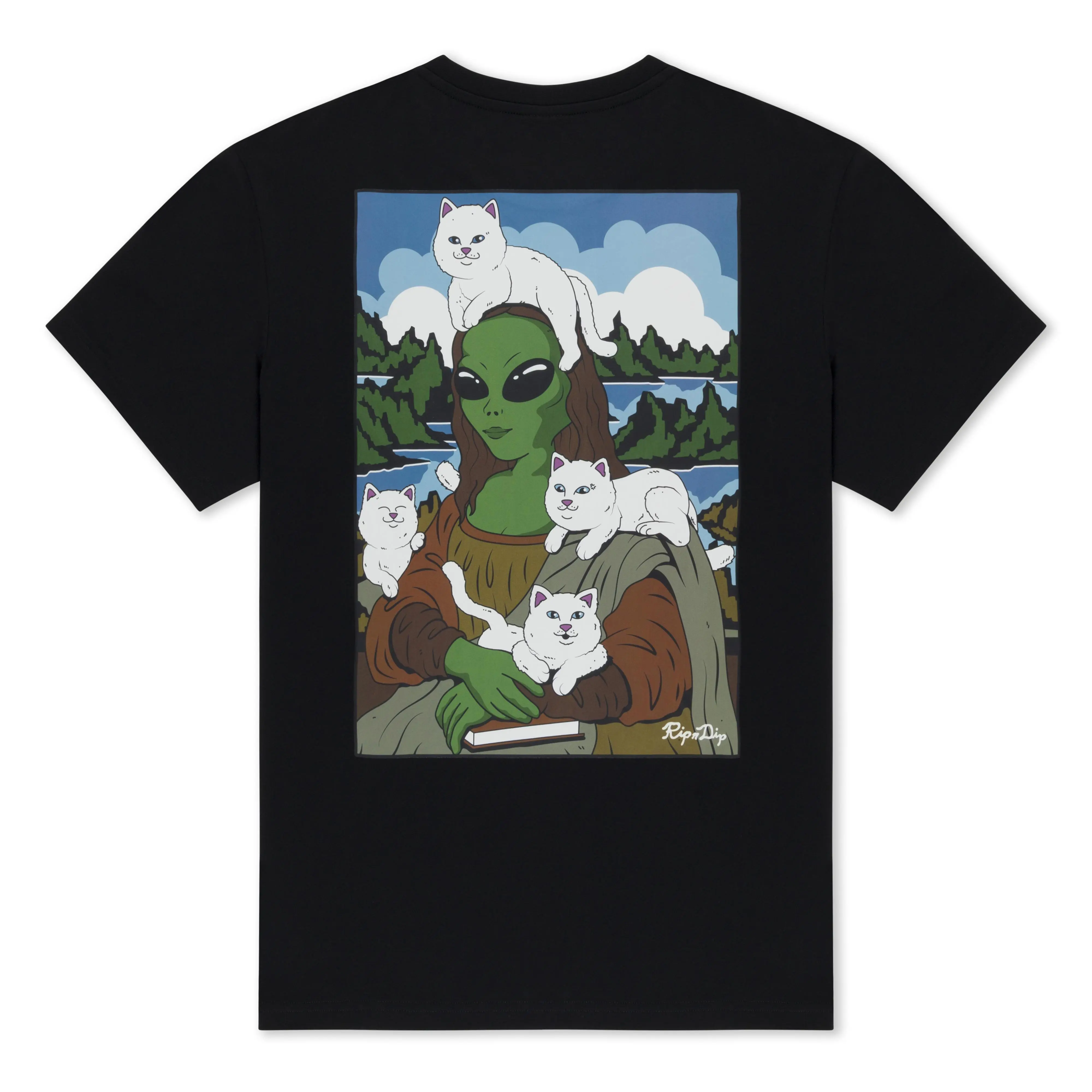 Women's 100% Cotton Graphic Tee - Alt Streetwear Round Neck Shortsleeve Top with Front and Back Prints, Tshirt