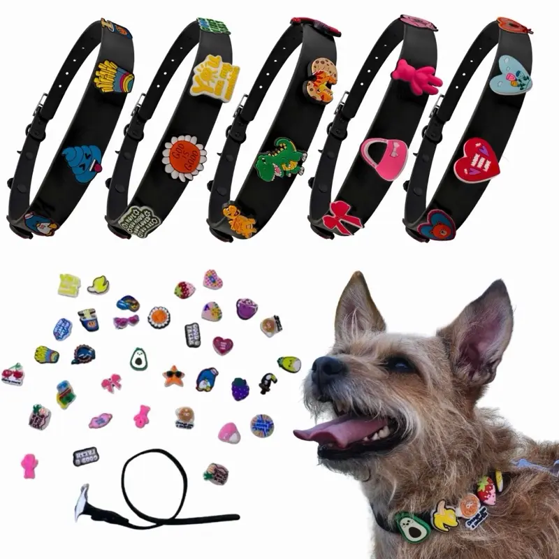 Custom Waterproof Dog Collar with Charms for Small Medium Large XL Sizes Perfect for Everyday Adventures Durable Easy to Clean