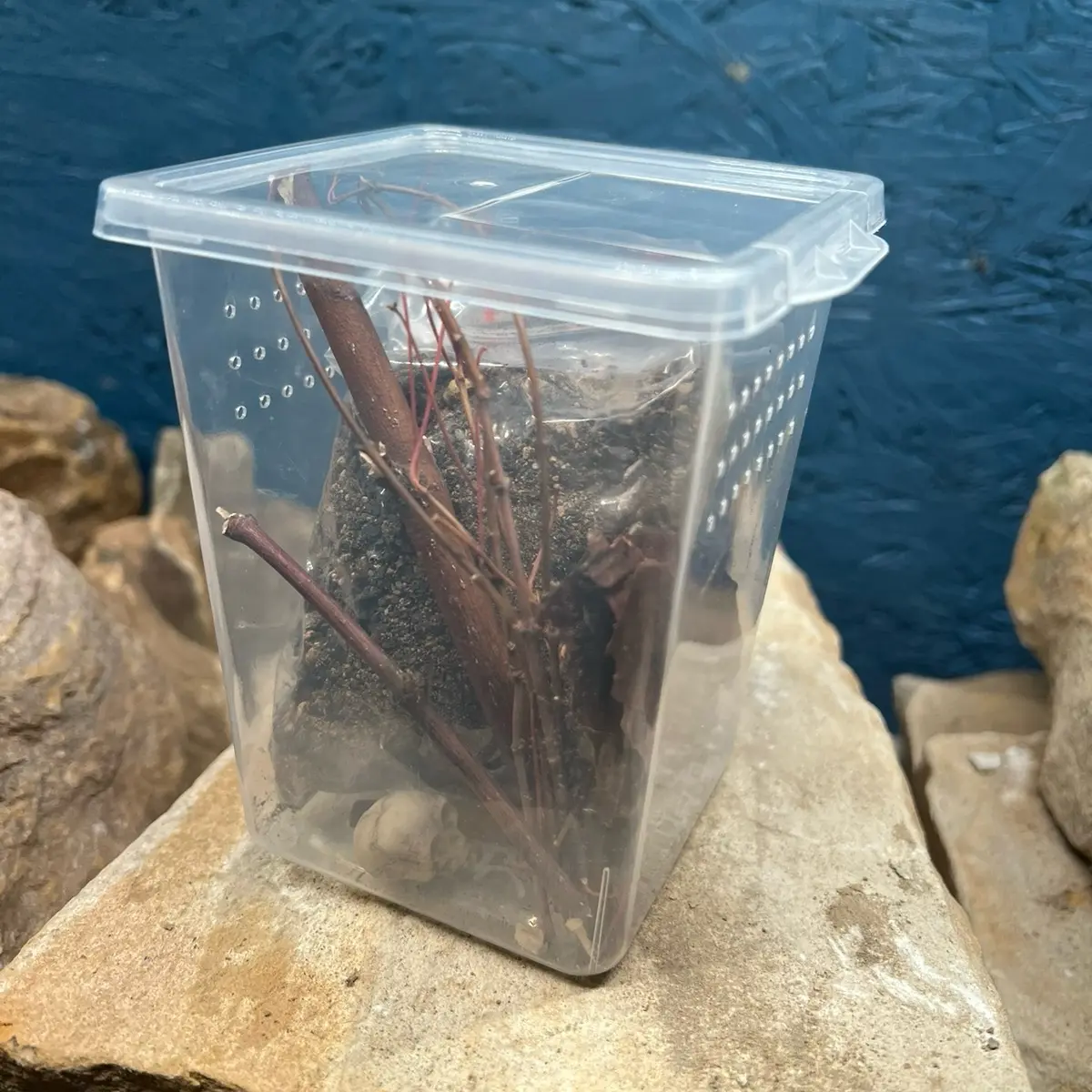 Tarantula/Spider housing kit