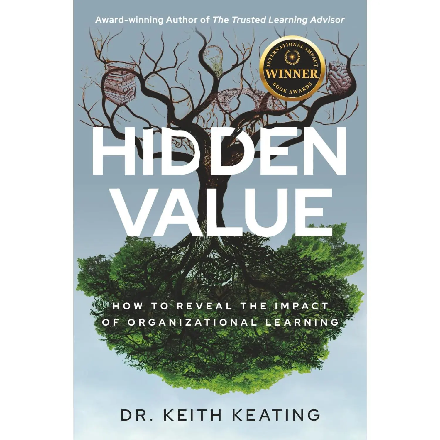 Hidden Value: How to Reveal the Impact of Organizational Learning