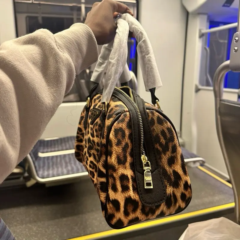 Cheetah Print Handbag - Simple Design Handheld Bag as Shown in the Image