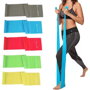 [New Deal] 5 Pcs Professional Resistance Bands. Latex-Free, Elastic Band, Work Out Bands, Stretch Bands for Working Out Women or Men, Exercise Bands Set for Physical Therapy, Yoga, Pilates