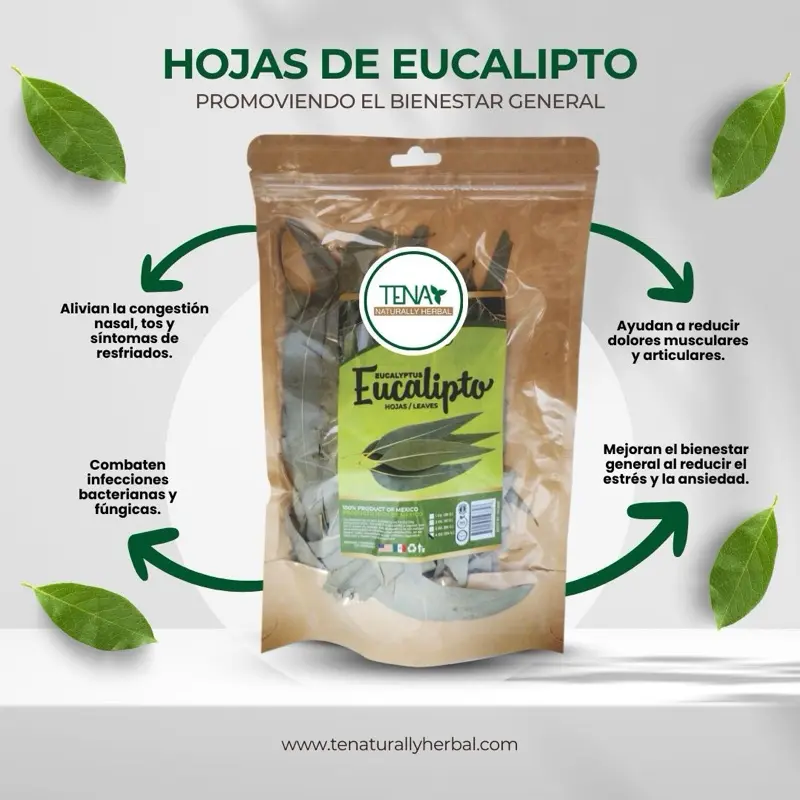 Premium Dried Eucalyptus Loose Leaf Fruit & Herbal Tea Bags - 4 oz Resealable Bag, Minty Scented, Caffeine Free, Supports Respiratory Comfort, Refreshing Beverage
