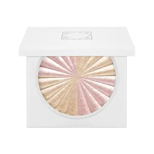 Highlighter - Start Inspired