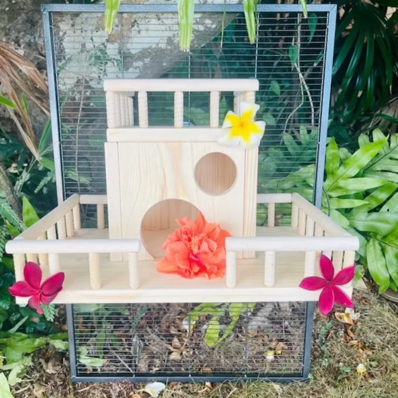 Kiln Dried Pine Double Decker Beach House with Rails for Chinchillas, Rats, Birds, Degu, Squirrels, Sugar Gliders & More - 17x12x9 Inches