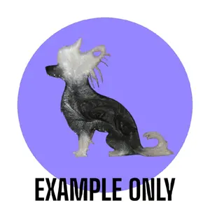 Customizable Resin Chinese Crested Hairless dog keychain/3D magnet