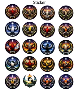 USA State Anti ICE Activist Sticker, Rebel Alliance Sticker, State in US Politicall Sticker