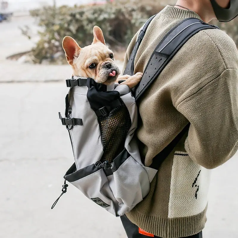 Dog Backpack Carrier for Hiking and Travel