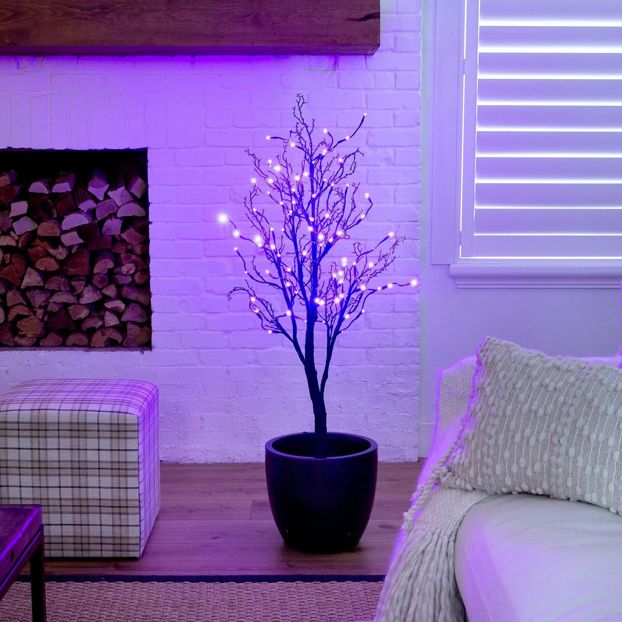 4ft Standing Pre-Lit Deluxe Black Twig Artificial Halloween Tree - 81 Orange & Purple Energy-Efficient LED Mood Lighting, Scary Horror Look, Twig Branches for Festive Room Decoration & Ornaments, Artificial Tree