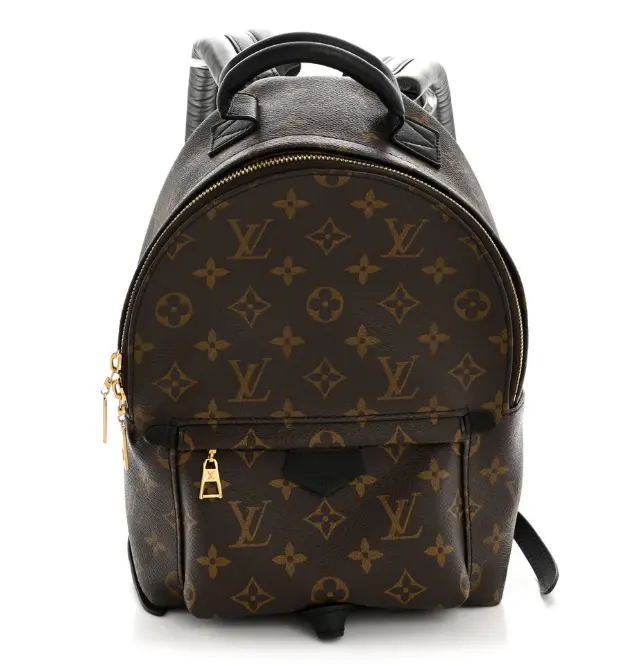 Pre-owned Louis Vuitton leather Backpacks Monogram Palm Springs Backpack PM JS006