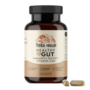 TERRA ORIGIN Healthy Gut Capsules with Immunity Boost | 90 Capsules | Digestive Support for Men and Women | Non GMO, Gluten Free, Dairy Free |