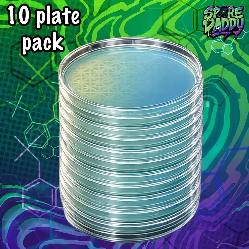 Agar plates ready to use for mycology | 10 pack Agar plates ready to use for mycology | 10 pack